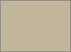 Pour d'autres élégances, la couleur --------, beige clair à jaune grisâtre