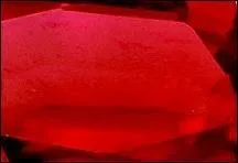 C'est un rouge sombre dans lequel on trouve des reflets très légèrement rosés.