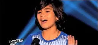 Un deuxième Paul a fait son apparition, chantant "Le Blues du businessman". Avec quel coach va-t-il aller, par défaut ?