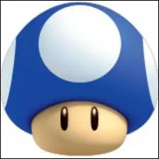 Quel est le nom de ce champignon ?