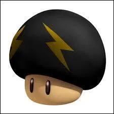 Quel est le nom de ce champignon ?