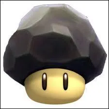 Quel est le nom de ce champignon ?