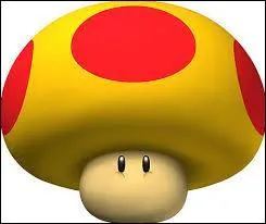 Quel est le nom de ce champignon ?