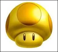 Quel est le nom de ce champignon ?