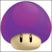 Quel est le nom de ce champignon ?