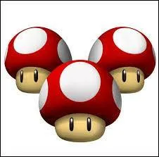 Quel est le nom de ce champignon ?