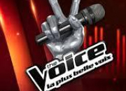 Quiz The Voice Kids (2014) : Les auditions  l'aveugle | 3