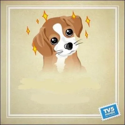 Essayer de séduire quelqu'un par les yeux, c'est