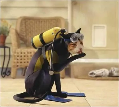 Trouve le nom d'un personnage célèbre, coiffé d'un bonnet rouge !