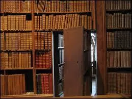 En informatique, à quoi une porte dérobée donne-t-elle un accès complet ?