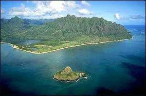 Qui convainc Hurley de retourner sur l'île ?