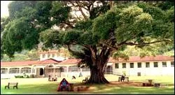 Quel incident le perturbe au point de retourner à l'hôpital de Santa Rosa ?