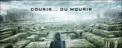 Combien y a-t-il de portes ?