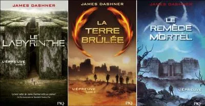 Comment se nomme la trilogie du Labyrinthe ?