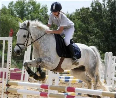 Quelles sont les différentes parties du saut ?