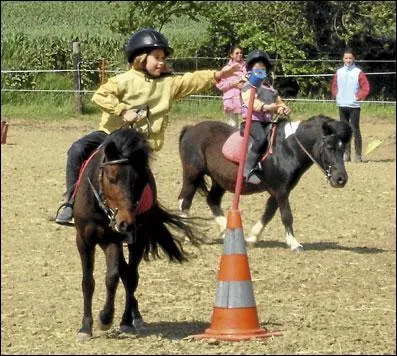 Dans quelle discipline équestre joue-t-on à poney ?