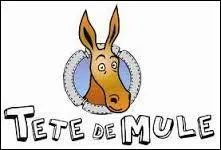 "Etre une vraie tête de mule" :