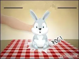 "Elle m'a encore posé un lapin ! " :