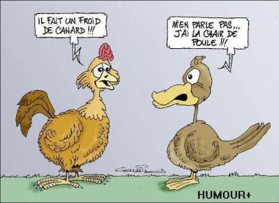 "Il fait un froid de canard", ça veut dire :