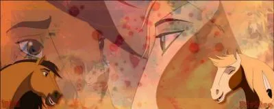 Après le feu de forêt, que se passe-t-il ?