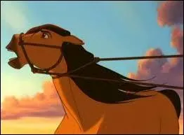 Que lui arrive-t-il ?