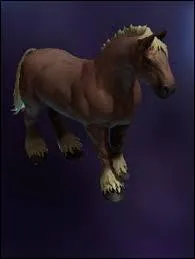 Combien y a-t-il de variantes de couleurs de chevaux pour le moment ?