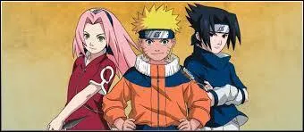 Qui se trouve dans cette équipe ? (suite de la réponse de la question 1)