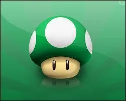 Dernier objet.
Il sert à regagner une vie d'où son nom...