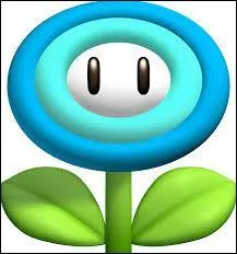 3e objet : La Fleur de Glace.
À quoi sert-il ?