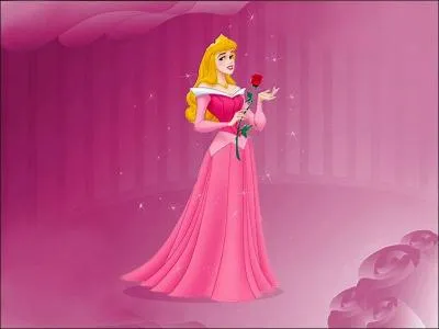 Comment s'appelle cette princesse ?