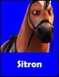 De qui Sitron est-il le cheval ?