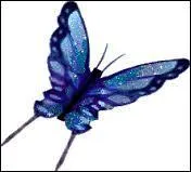 En une minute, quelle vitesse le papillon peut-il atteindre en vol ?