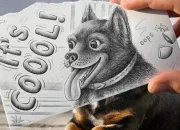Quiz Les races des chiots