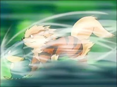 Trouve le nom de ce Pokémon :