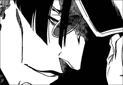 Quel est le pouvoir de ce Quincy ?