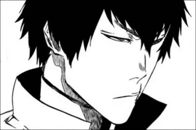 Quel est le pouvoir de ce Quincy ?