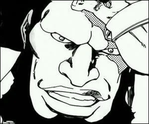 Quel est le pouvoir de ce Quincy ?