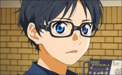 De quel animé/manga vient ce/cette Megane ?