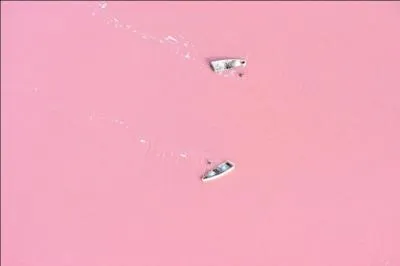 Là-aussi, ne dirait-on pas un liquide laiteux, parfumé à la fraise ?