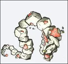 Quelles sont les fusions de ce félin rocailleux ?