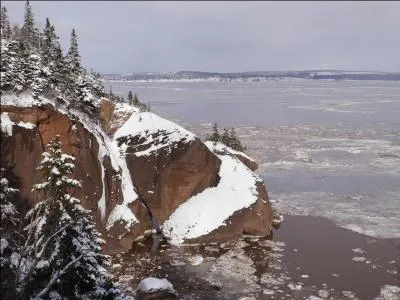 Trouvez le nom d'un film de Nicolas Vanier !
