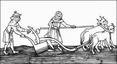 Quel verbe correspond à cette action ?