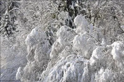 Quelle couleur domine sur cette photo ?