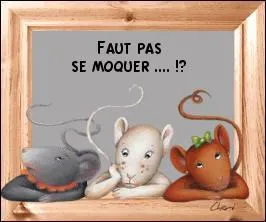 Pourquoi les souris sont-elles tristes ?