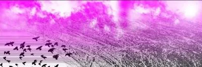 De quelle couleur est l'aube ?