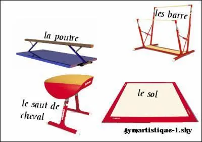 Comment se nommnte les 4 agrès féminins ?