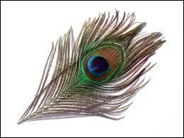 Ah ! Piquer les avantages qui reviennent à d'autres.