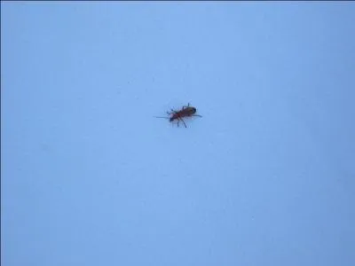 Quand on insiste pour un infime détail.