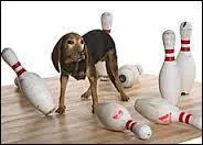 Là, c'est une histoire de contretemps.