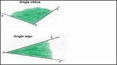 Faut-il « négocier » durant ces différences conflictuelles qui poussent à se demander si on doit poser des questions dans les quiz ou si on peut mettre d'autres types d'énoncés ? !